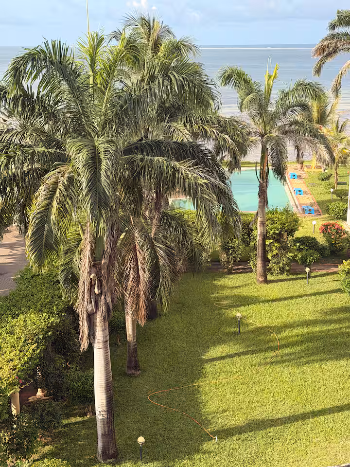 Garden.avif