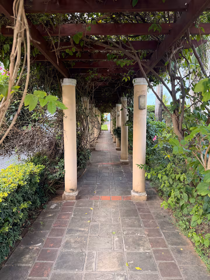 Garden 2.avif